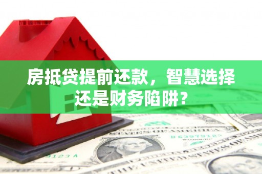 田中房抵贷提前还款，智慧选择还是财务陷阱？