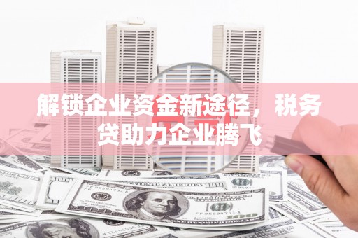 田中解锁企业资金新途径，税务贷助力企业腾飞