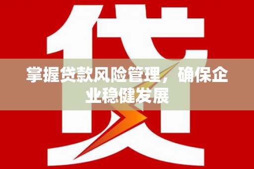 田中掌握贷款风险管理，确保企业稳健发展